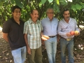 Cacao Mayaguez 1