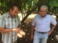 Cacao Mayaguez 2