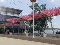 RENDER LAJAS