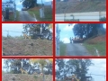 10366295_567892509998073_2630171868896114277_n