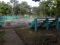 IMG-20140520-WA0025