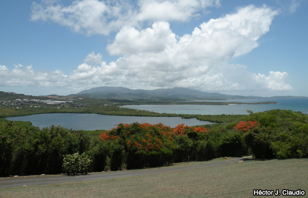 20080723-corredor-ecologico-del-noreste
