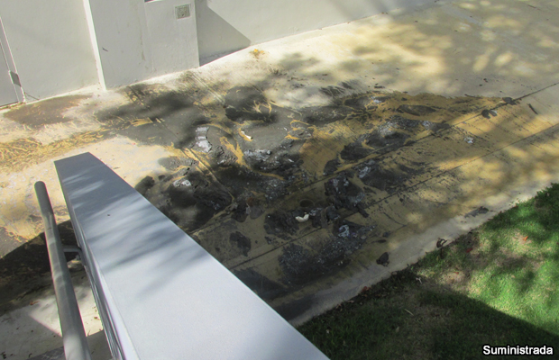 20140923-escuela-francisco-mendoza-isabela