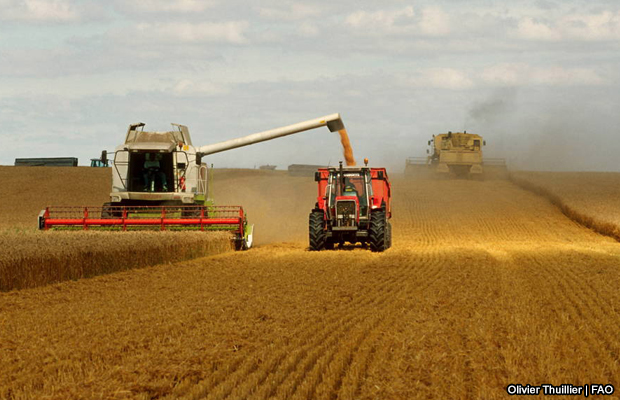 20150305-cosecha-de-trig-francia