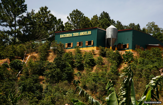 20150310-hacienda-tres-angeles-castaner