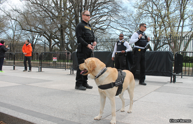 20150405-secret-service-agents