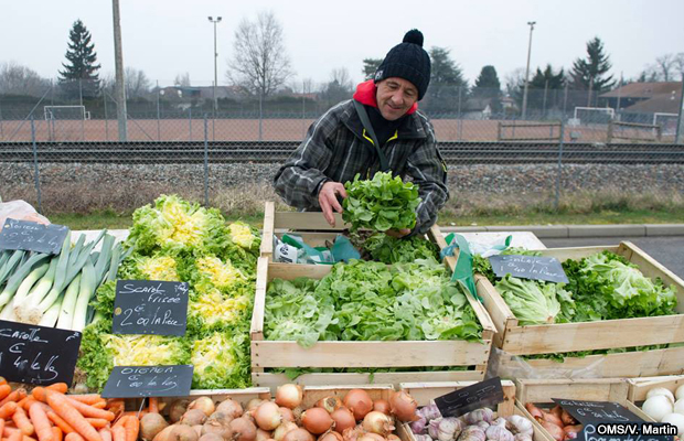 20150407-oms-verduras