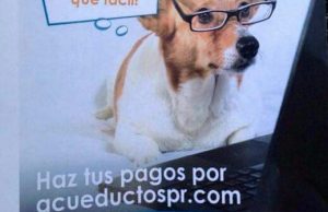 8492_813297595442115_378670810063801164_n