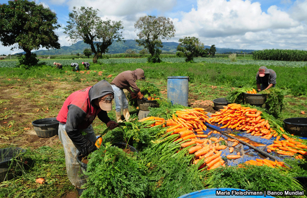 20150223-agricultores-guatemala